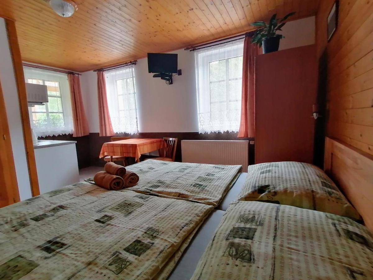 Apartmany 670 Pod Lysou Horou โรกีนีซ นัด ยีเซอโร ภายนอก รูปภาพ