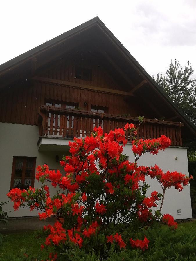 Apartmany 670 Pod Lysou Horou โรกีนีซ นัด ยีเซอโร ภายนอก รูปภาพ